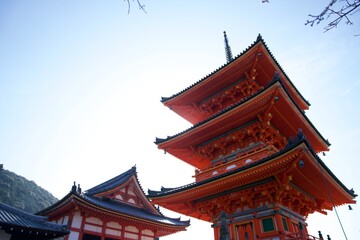 京都のお寺と紅葉