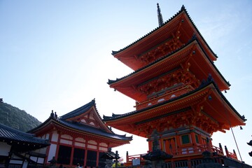 Naklejka premium 京都のお寺と紅葉