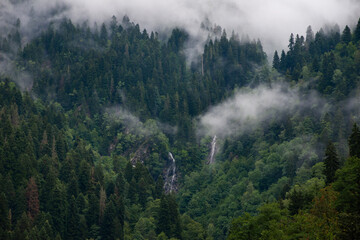 Waterfalls in the foggy forest
