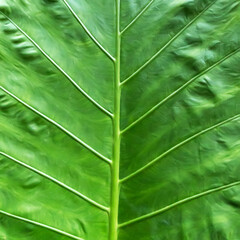 Green bokeh out of focus background