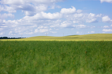 green countryside  field and blue sky 