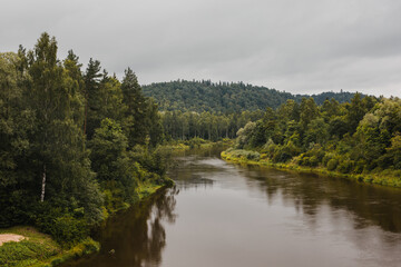 Fototapeta na wymiar scenic green mountain forest river in summer
