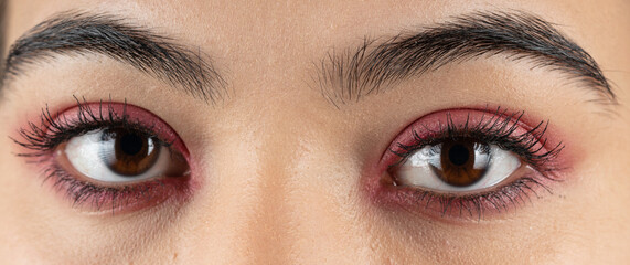 Obraz premium Macro shot of woman eye makeup with red eyeshadow. Close-up of woman eyelashes. Panoramic shot.