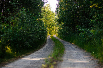 Fototapeta na wymiar road in the forest in Finland