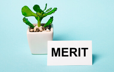 On a light blue background - a potted plant and a white card with the inscription MERIT