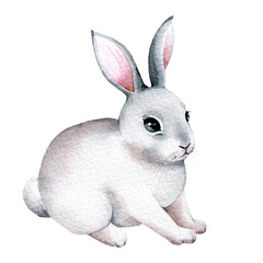 Watercolor White Bunny illustration, hand painted rabbit
