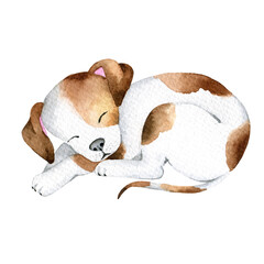Watercolor  sleeping puppy illustration, hand painted puppy