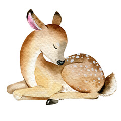 Watercolor sleeping  Fawn illustration, hand painted fawn