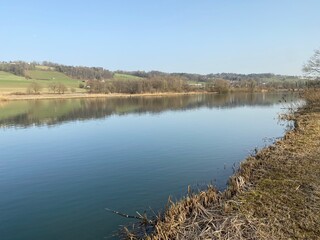 Flach lake or Flachsee in the natural protection zone Aargau Reuss river plain (Naturschutzzone...