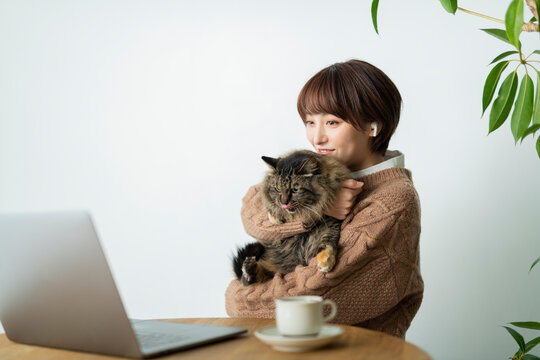 猫に作業を邪魔される女性