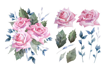 Watercolor tea rose with green leaf botanical retro style bouquet, isolated illustration. 