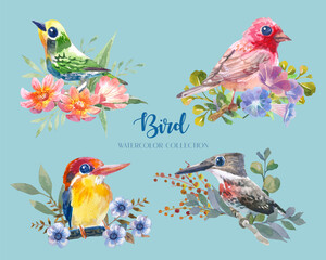 Beautiful and colorful small bird with branch and flower watercolor collection set (4 birds). 