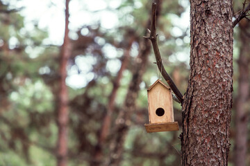 Front view, Inside the forest, wooden birdhouse attached to a pine tree trunk. Selective focus