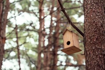 Front view, Inside the forest, wooden birdhouse attached to a pine tree trunk. Selective focus