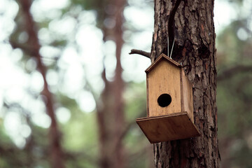 Front view, Inside the forest, wooden birdhouse attached to a pine tree trunk. Selective focus