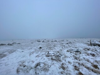 When Sky join with sky. National park Harz.
