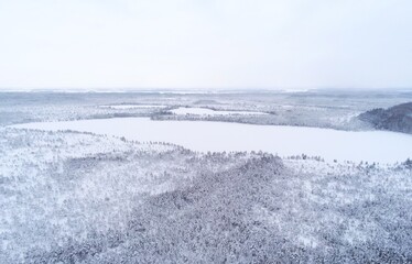 Snow covered forest protected forest reserve with lakes in Estonia by drone view