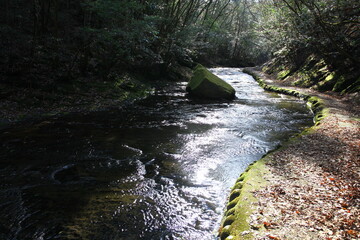 Obraz premium 大分県宇佐市の岳切渓谷