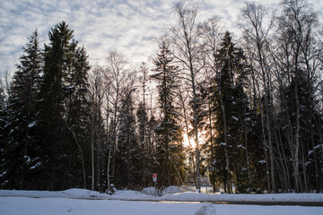 Sunbeams pour through trees in early morning. Light shining in winter snowy forest. Road sign in Estonian - Private Property, Entry with the permission of the holder. Altocumulus clouds on background.