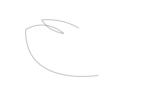 Self drawing animation of swan bird. Copy space. White background.