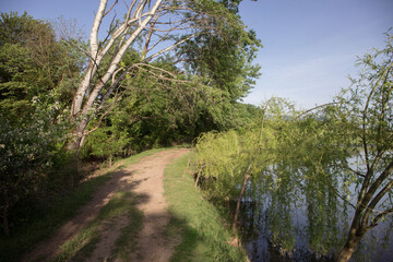 Beautifullake Azerbaijan outdoor. Early summer time. Caucasus
