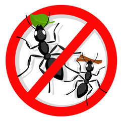 Ants banned on a white background. Red sign