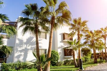 Beautiful white houses at the tropical garden with palms