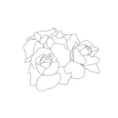 Flower in one line continuous style. Simple botanic element. Minimalism sketch. 