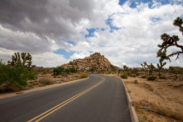 road in the desert Joshua tree national park
