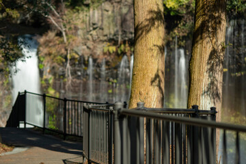 fence