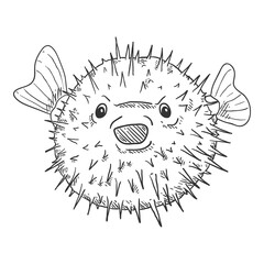 Blowfish Sketch. Tetraodontidae Vector Illustration