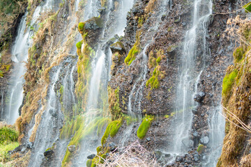 waterfall in the forest