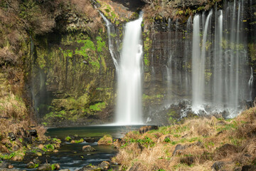 waterfall in the forest