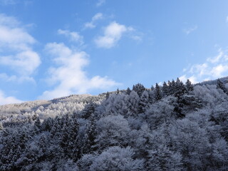 春は間近なんですが…雪景色。