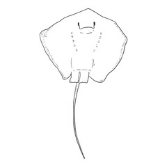 Sketch Giant Stingray. Numb-fish Vector Illustration