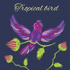Purple tropical bird with flower on dark background