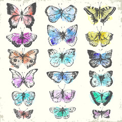 Fototapeta na wymiar Hand drawn ink and watercolor butterfly set