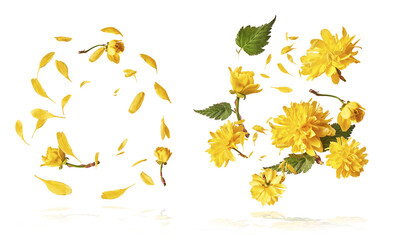 Beautiful sping flowers flying in the air. Levitation concept