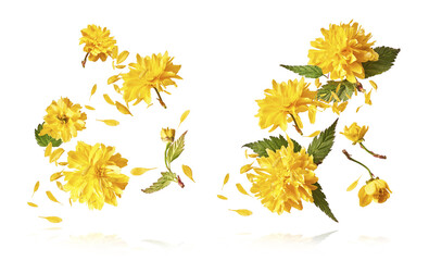 Beautiful sping flowers flying in the air. Levitation concept
