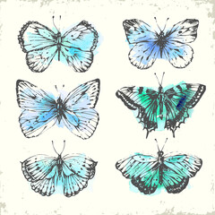 Fototapeta na wymiar Butterflies and moths in blue, green and mint colors