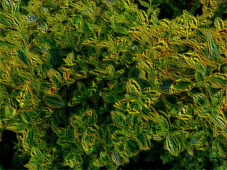 Beauty of fresh background in black and light green color. Bright retro backdrop. Cool creative template fabric texture layout. Ornate stylish wrapping paper pattern. Cool glowing blurry web design   