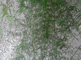 Concrete wall texture. Fresh background in gray and light green color. Bright retro backdrop. Cool creative template fabric texture layout. Stylish wrapping paper pattern. Cool glowing web design.