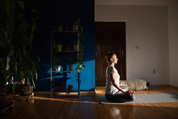 woman with dog doing yoga at home houseplants in background
