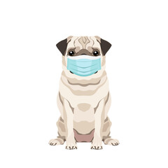 Vector portrait of a Pug wearing protective face mask isolated on white background	
