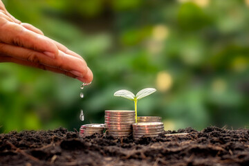 The business man's hand is watering the plants growing on the pile of coins stacked on the ground financial growth and business management ideas.