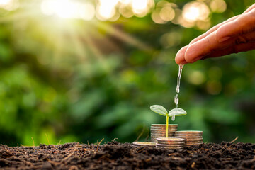The business man's hand is watering the plants growing on the pile of coins stacked on the ground financial growth and business management ideas.