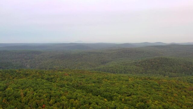 Aerial shot of lush green forest against sky, drone flying backward over natural landscape - Berkshire County, Massachusetts