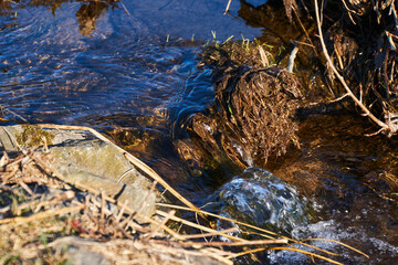 Der Frühling naht und die Natur erwacht in Sachsen