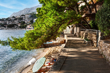 Pine trees on the embankment in the village of Brela.Makarska Riviera Croatia