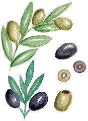 Watercolor cute set of images of olives, green and black olives, isolated on white background